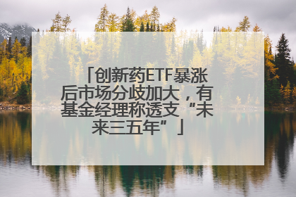 创新药ETF暴涨后市场分歧加大，有基金经理称透支“未来三五年”