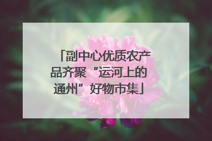 副中心优质农产品齐聚“运河上的通州”好物市集