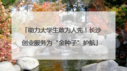 助力大学生敢为人先！长沙创业服务为“金种子”护航