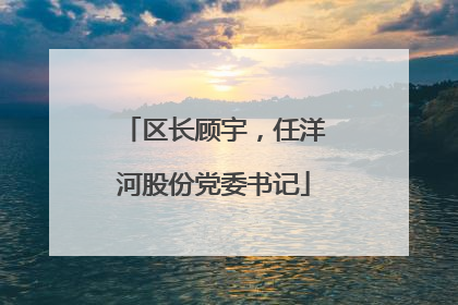 区长顾宇，任洋河股份党委书记