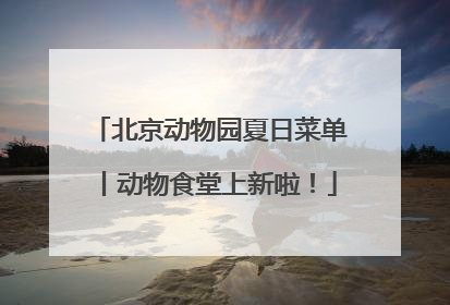 北京动物园夏日菜单丨动物食堂上新啦！