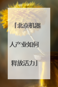 北京机器人产业如何释放活力