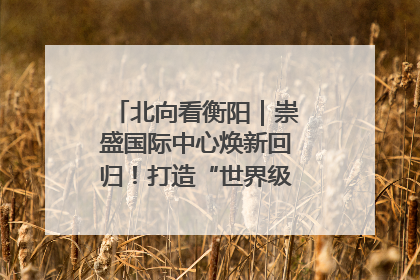北向看衡阳｜崇盛国际中心焕新回归！打造“世界级美食主题公园”