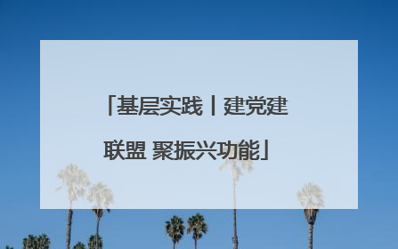 基层实践丨建党建联盟 聚振兴功能