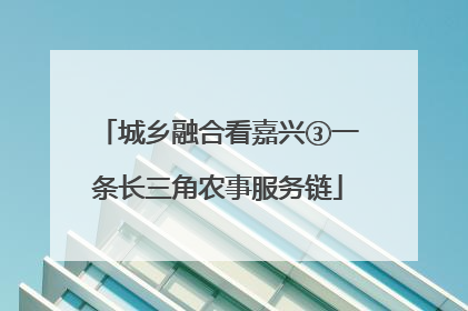 城乡融合看嘉兴③一条长三角农事服务链