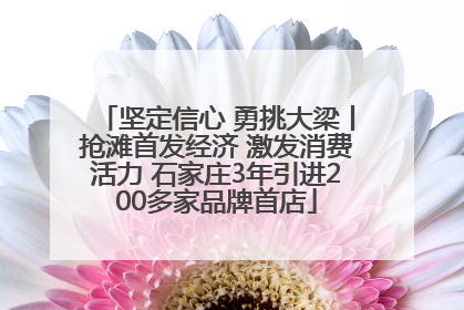 坚定信心 勇挑大梁丨抢滩首发经济 激发消费活力 石家庄3年引进200多家品牌首店