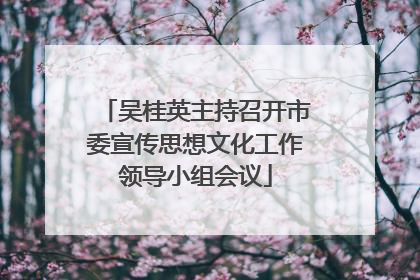 吴桂英主持召开市委宣传思想文化工作领导小组会议
