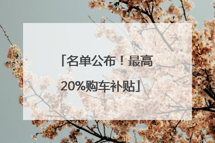 名单公布！最高20%购车补贴