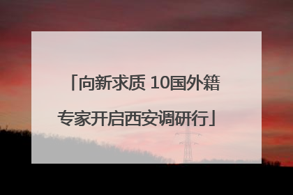 向新求质 10国外籍专家开启西安调研行
