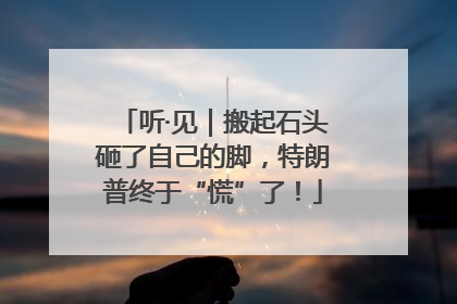 听·见｜搬起石头砸了自己的脚，特朗普终于“慌”了！