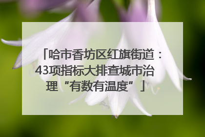 哈市香坊区红旗街道：43项指标大排查城市治理“有数有温度”