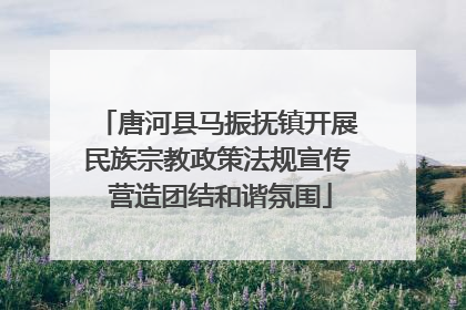 唐河县马振抚镇开展民族宗教政策法规宣传 营造团结和谐氛围