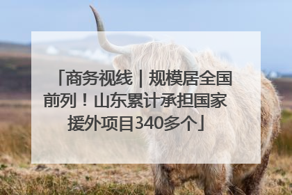 商务视线｜规模居全国前列！山东累计承担国家援外项目340多个