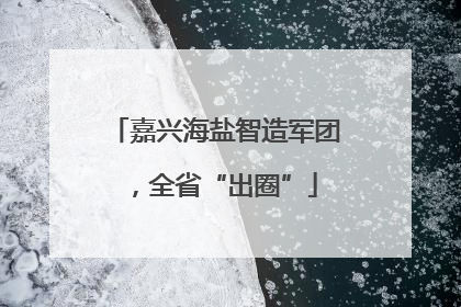 嘉兴海盐智造军团，全省“出圈”