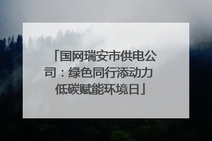 国网瑞安市供电公司：绿色同行添动力 低碳赋能环境日