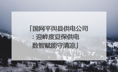 国网平舆县供电公司：迎峰度夏保供电  数智赋能守清凉