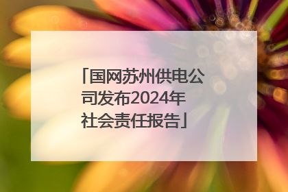 国网苏州供电公司发布2024年社会责任报告