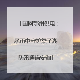 国网鄂州供电：暴雨中守护梁子湖防汛通道安澜