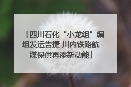 四川石化“小龙组”编组发运告捷 川内铁路航煤保供再添新动能