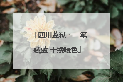 四川监狱：一笔藏蓝 千缕暖色