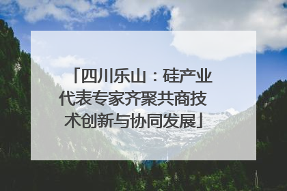 四川乐山：硅产业代表专家齐聚共商技术创新与协同发展