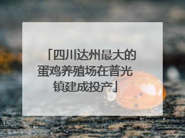 四川达州最大的蛋鸡养殖场在普光镇建成投产
