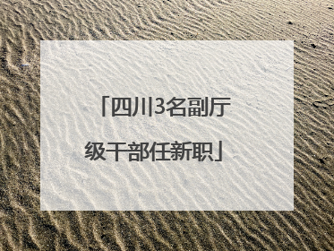 四川3名副厅级干部任新职