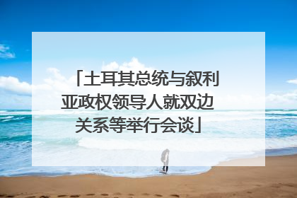 土耳其总统与叙利亚政权领导人就双边关系等举行会谈