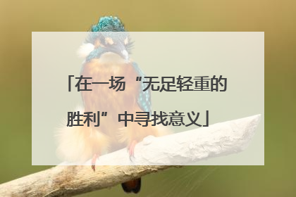 在一场“无足轻重的胜利”中寻找意义