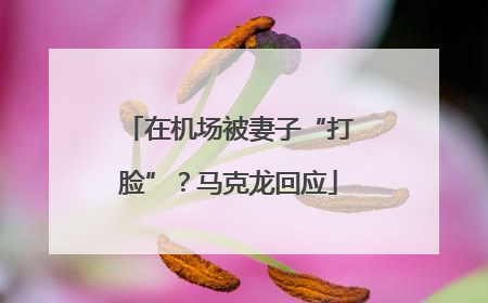 在机场被妻子“打脸”？马克龙回应
