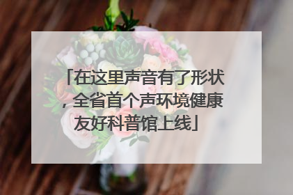 在这里声音有了形状，全省首个声环境健康友好科普馆上线