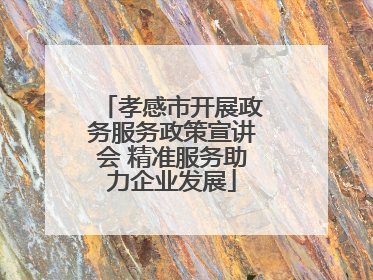 孝感市开展政务服务政策宣讲会 精准服务助力企业发展