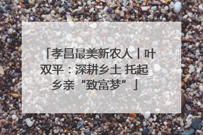 孝昌最美新农人丨叶双平：深耕乡土 托起乡亲“致富梦”