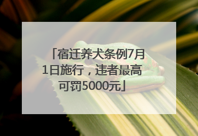 宿迁养犬条例7月1日施行，违者最高可罚5000元