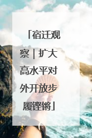宿迁观察｜扩大高水平对外开放步履铿锵