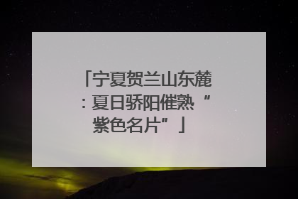 宁夏贺兰山东麓：夏日骄阳催熟“紫色名片”