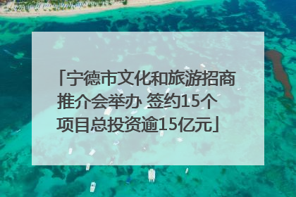 宁德市文化和旅游招商推介会举办 签约15个项目总投资逾15亿元
