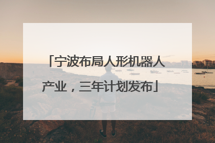 宁波布局人形机器人产业，三年计划发布