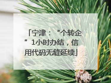 宁津：“个转企”1小时办结，信用代码无缝延续