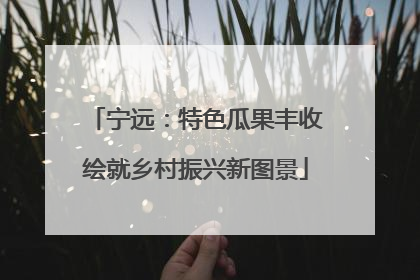 宁远：特色瓜果丰收绘就乡村振兴新图景