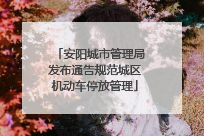 安阳城市管理局发布通告规范城区机动车停放管理