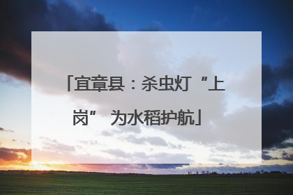 宜章县：杀虫灯“上岗” 为水稻护航