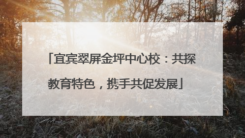 宜宾翠屏金坪中心校：共探教育特色，携手共促发展