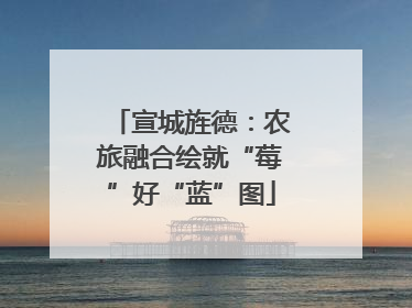宣城旌德：农旅融合绘就“莓”好“蓝”图