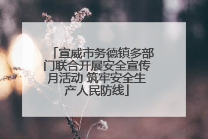 宣威市务德镇多部门联合开展安全宣传月活动 筑牢安全生产人民防线