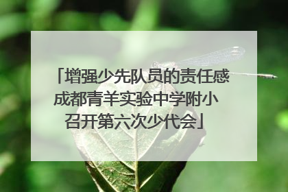 增强少先队员的责任感 成都青羊实验中学附小召开第六次少代会