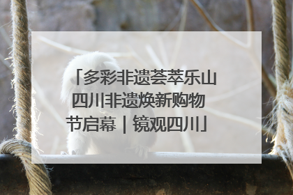 多彩非遗荟萃乐山 四川非遗焕新购物节启幕｜镜观四川