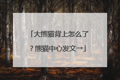 大熊猫背上怎么了？熊猫中心发文→