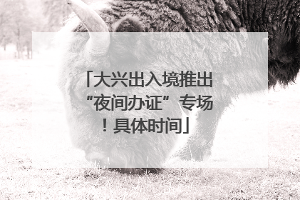 大兴出入境推出“夜间办证”专场！具体时间