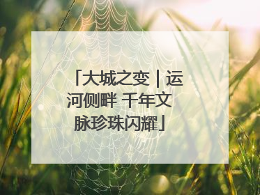 大城之变｜运河侧畔 千年文脉珍珠闪耀